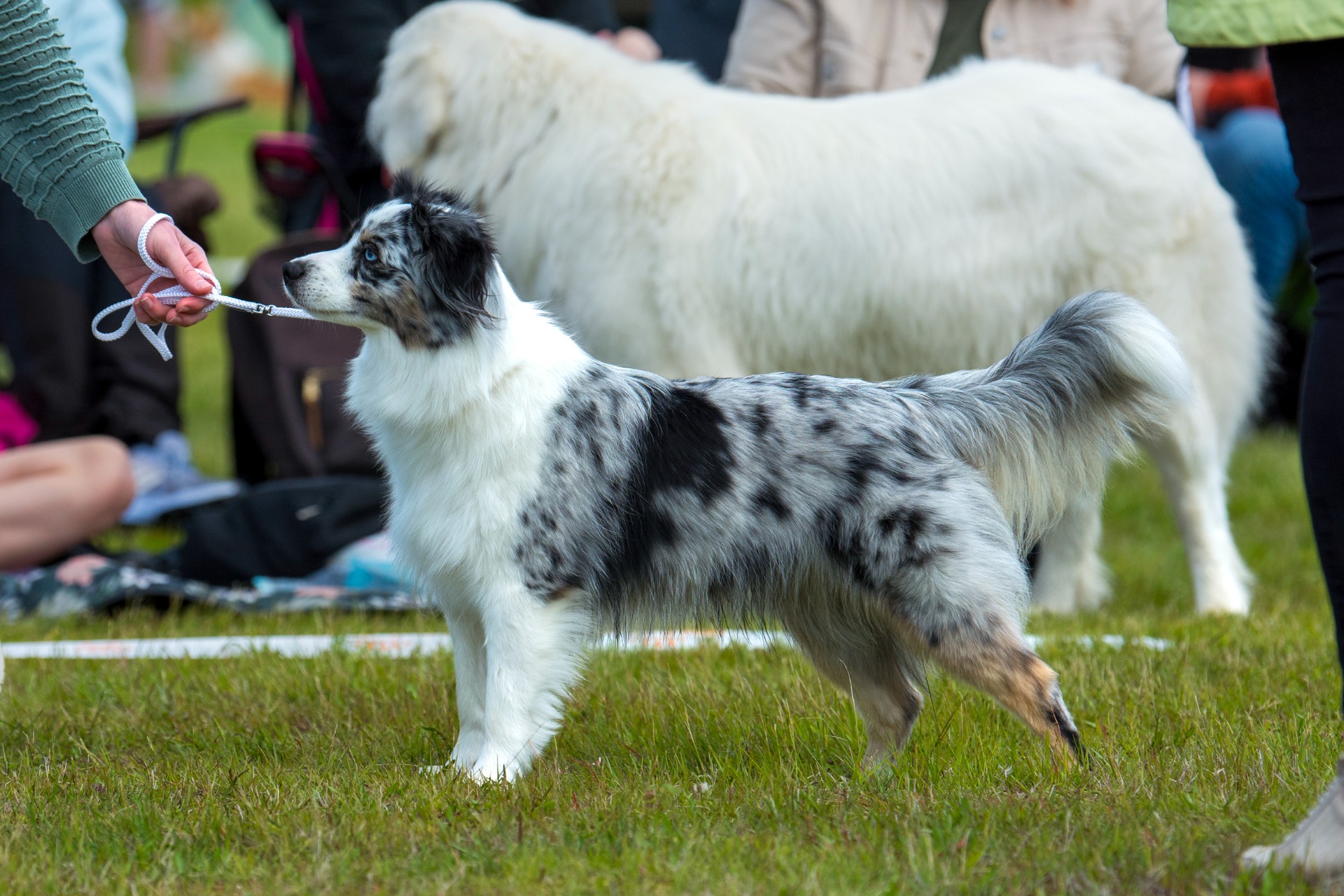 Kuva: Hanna Dymytrova-Kaihila