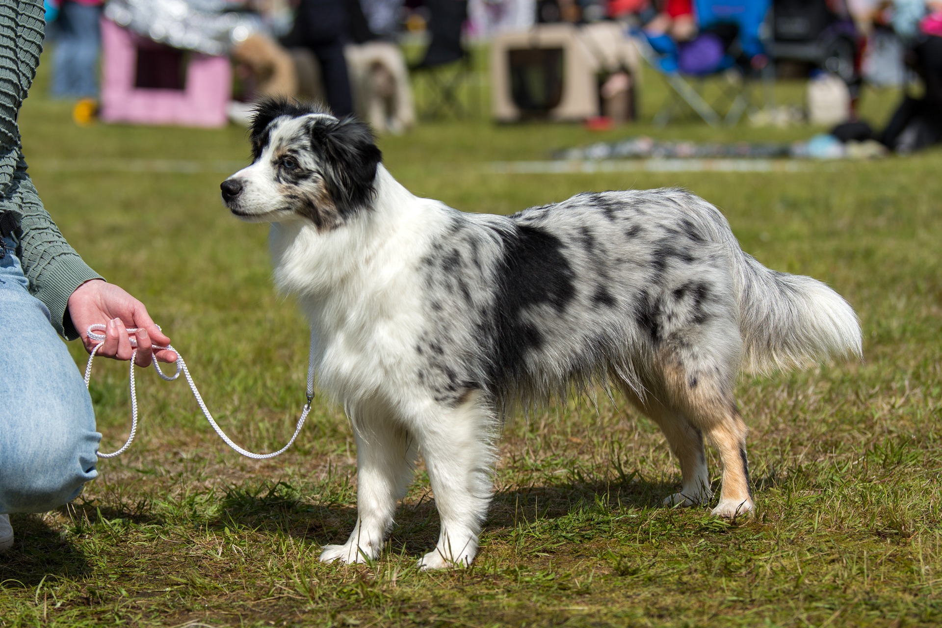 Kuva: Hanna Dymytrova-Kaihila