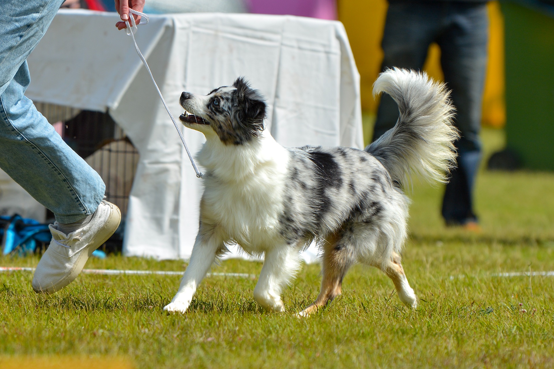 Kuva: Hanna Dymytrova-Kaihila