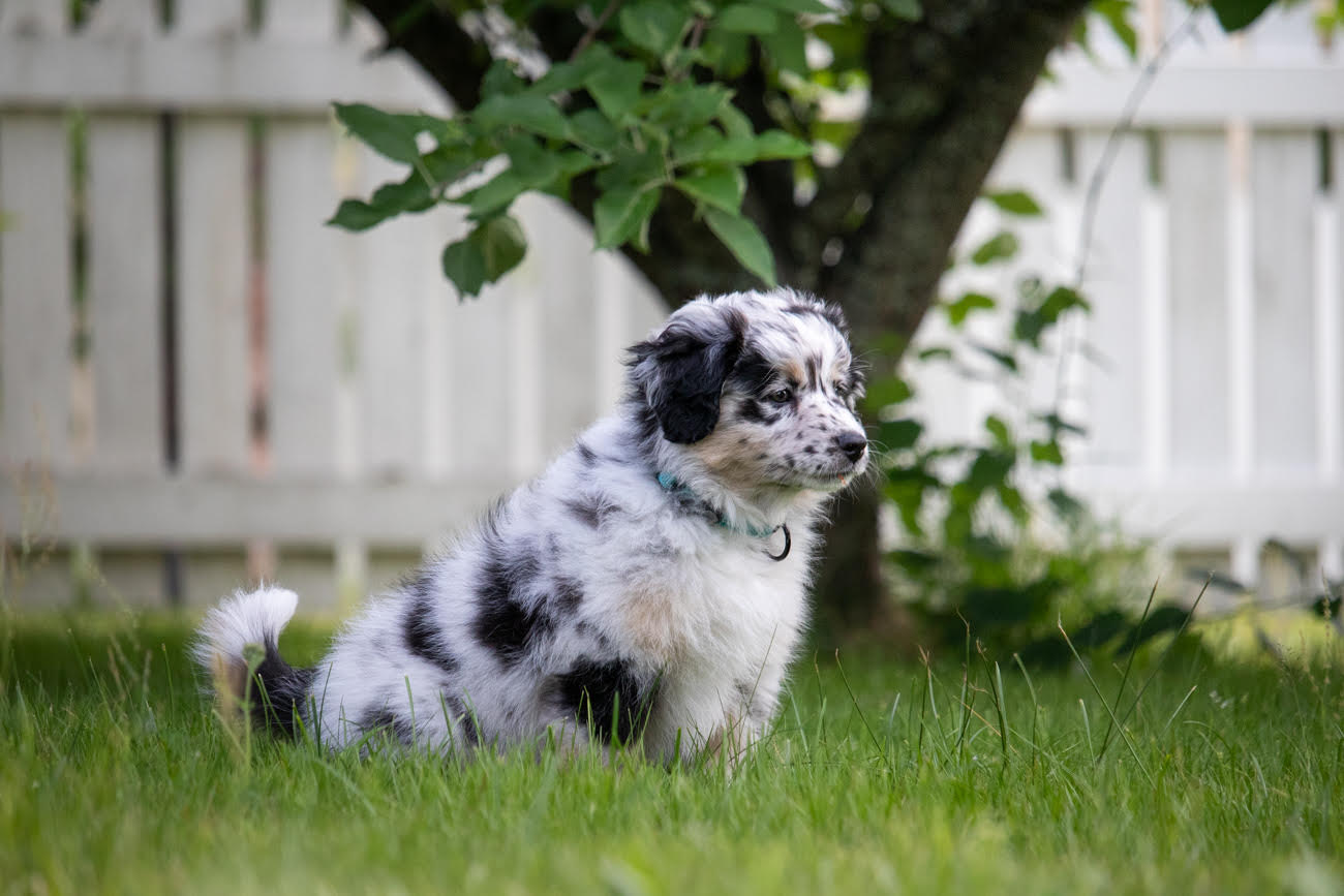 Kuva: Satu Palviainen