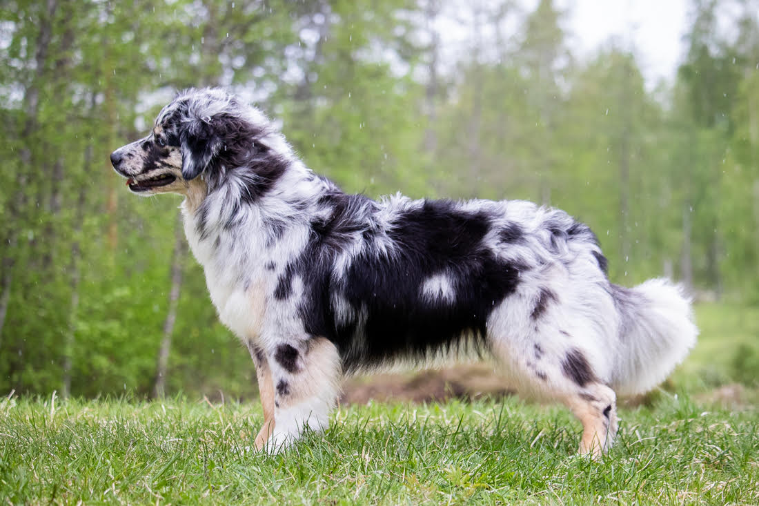 Kuva: Satu Palviainen